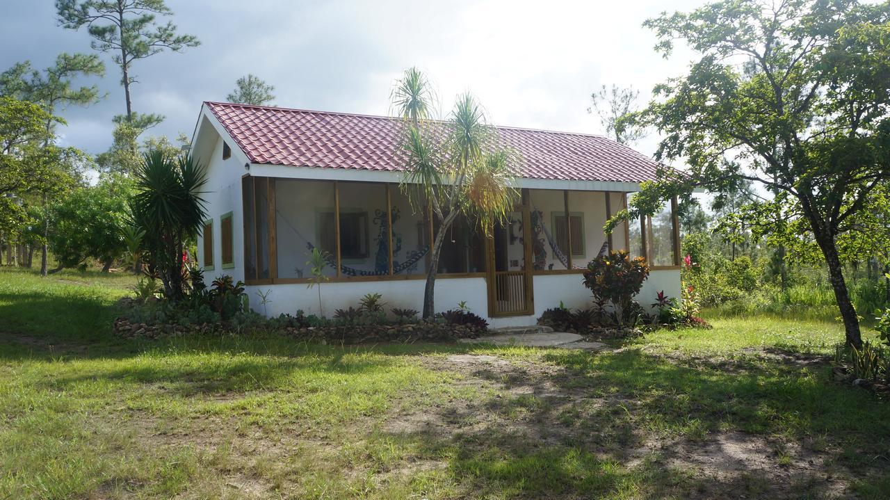 Pine Ridge Lodge San Ignacio Exterior photo